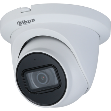 Dahua N43AJ52 IR Eyeball Network Camera