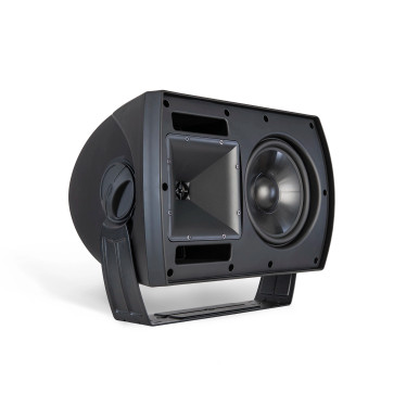 CA-800T-BLACK 8" Two-Way Surface-Mount Speaker
