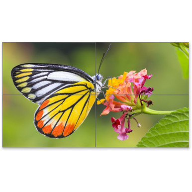 NEC UN552VS-TMX4P 55" LED Backlit Ultra-Narrow Bezel 2x2 Video Wall Bundle