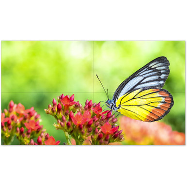 NEC 55" UN552V Ultra-Narrow Bezel 2x2 Display Video Wall