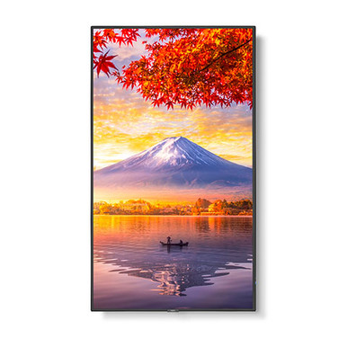 NEC 55" Wide Color Gamut Ultra High Definition Professional Display with pre-installed IR touch