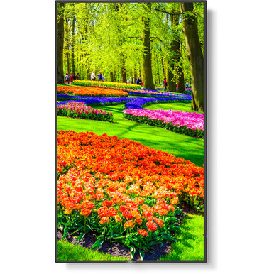 NEC MultiSync M431-AVT3 43" Class HDR 4K UHD Commercial IPS LED Display with ATSC Tuner