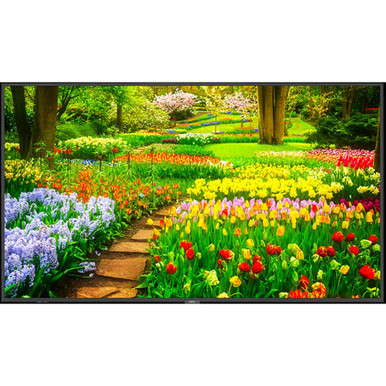 NEC MultiSync M491 PC5 M Series 49" LED backlit LCD display 4K for digital signage
