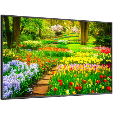 NEC MultiSync M491-PC5 M Series - 49" LED-backlit LCD display - 4K - for digital signage