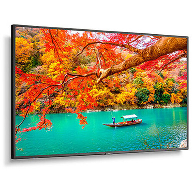 NEC MultiSync MA 43" Class HDR 4K UHD Digital Signage IPS LED Display
