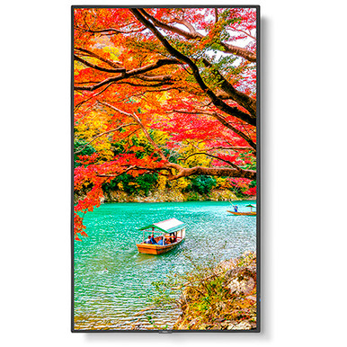 NEC MultiSync MA 43" Class HDR 4K UHD Digital Signage IPS LED Display