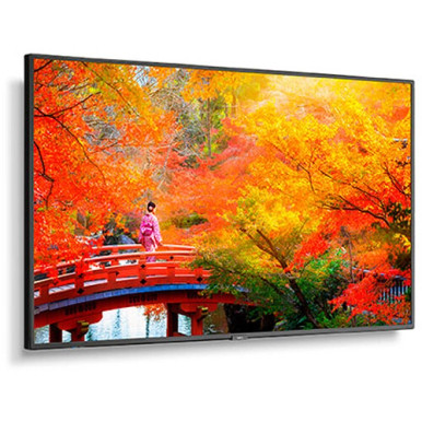 NEC MultiSync MA 49" Class HDR 4K UHD Digital Signage IPS LED Display