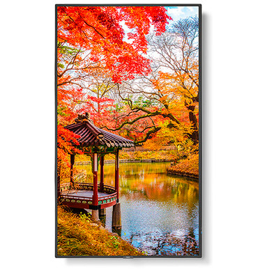 NEC MultiSync MA 49" Class HDR 4K UHD Digital Signage IPS LED Display