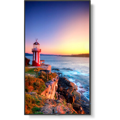 NEC MultiSync P555 55" Class HDR 4K UHD Digital Signage IPS LED Display