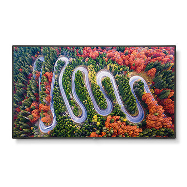 NEC V654Q-AVT3 MultiSync  65" Class 4K UHD Commercial LED Display with Integrated ATSC Tuner Module