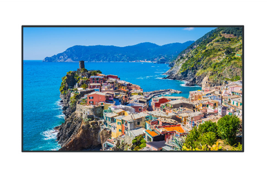 Panasonic- TH-43EQ2W 43" 4K UHD, 500cd/m2, SDM, LED LCD Display