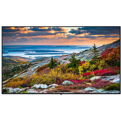 Panasonic TH-55CQE1W 55" Class 4K UHD Professional LED Display