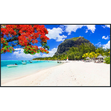 Panasonic 86SQ2HW Series 86" UHD 4K Commercial Monitor