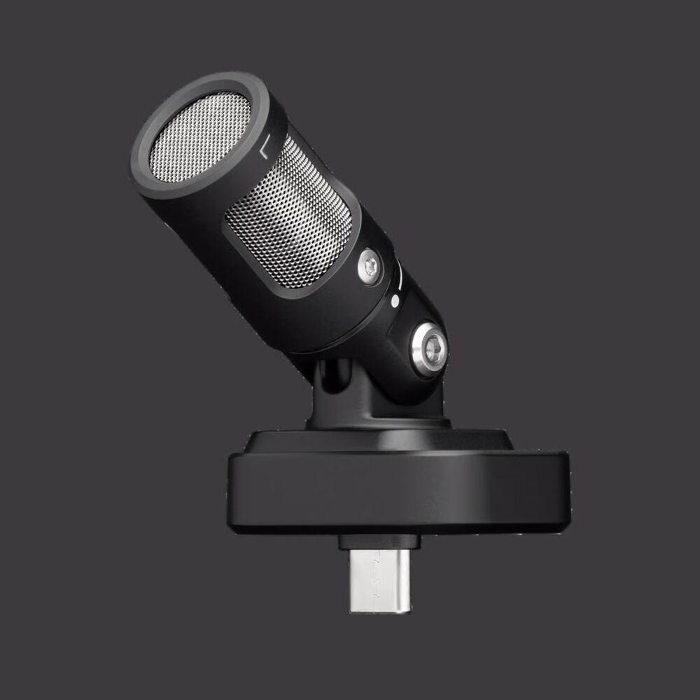 Stereo Microphone