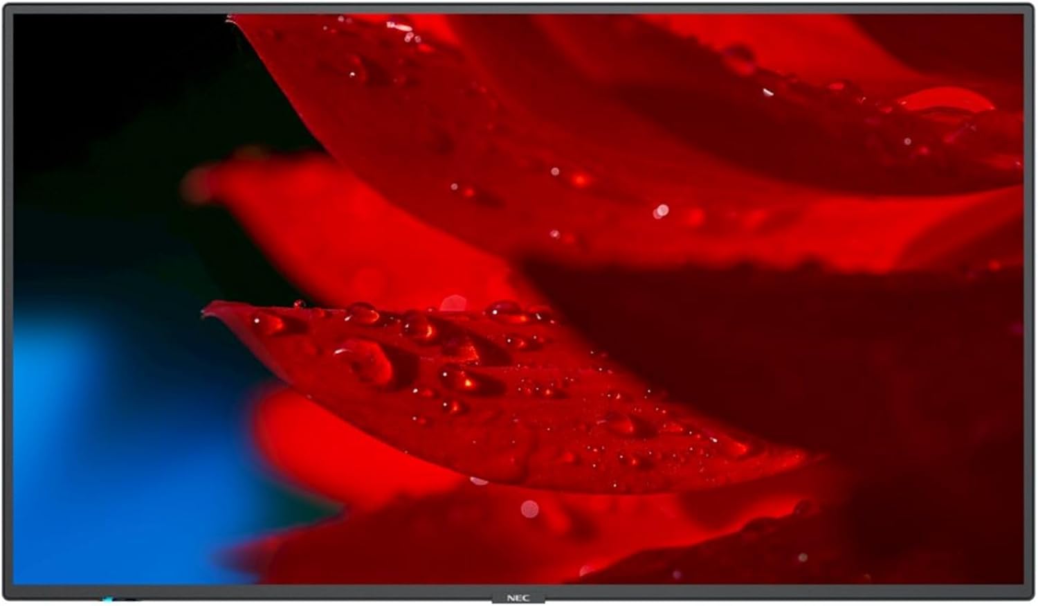 NEC 43" LED LCD UHD 500nits WCG